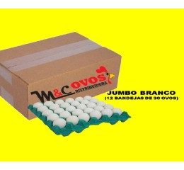 CAIXA OVOS JUMBO BRANCO C/360 OVOS